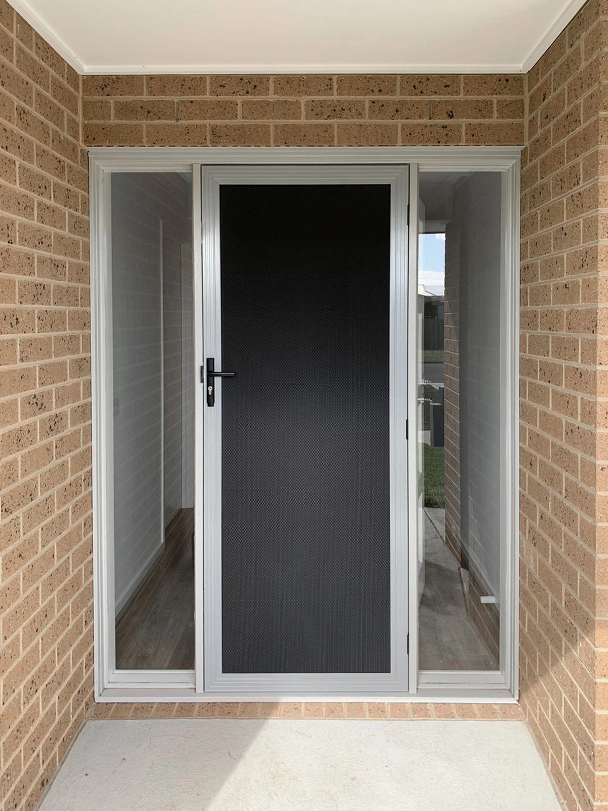 stainless steel mesh security door