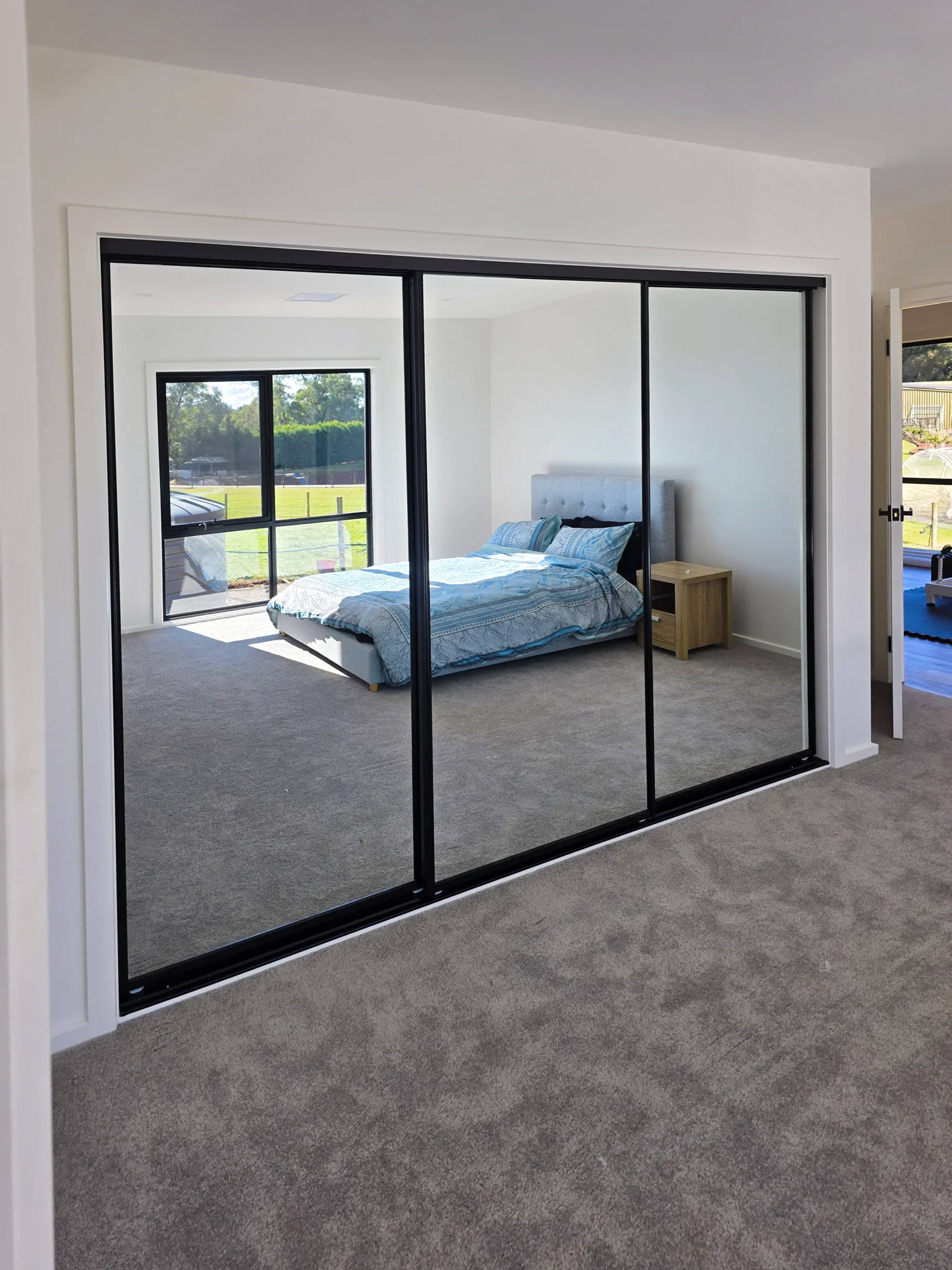 mirrored wardrobe door